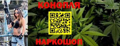 гидра Ачхой-Мартан